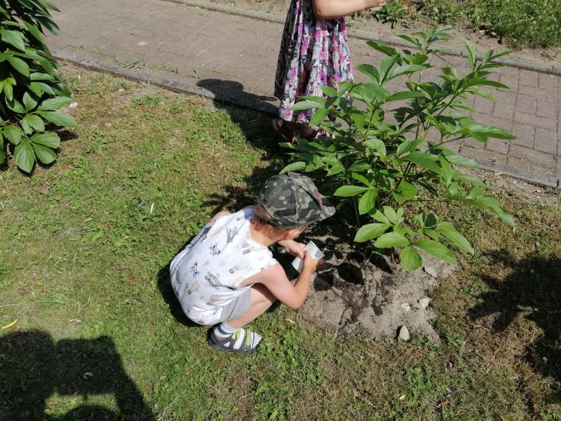 Zajęcia ekologiczne dla 4 latków - zdjęcie 14